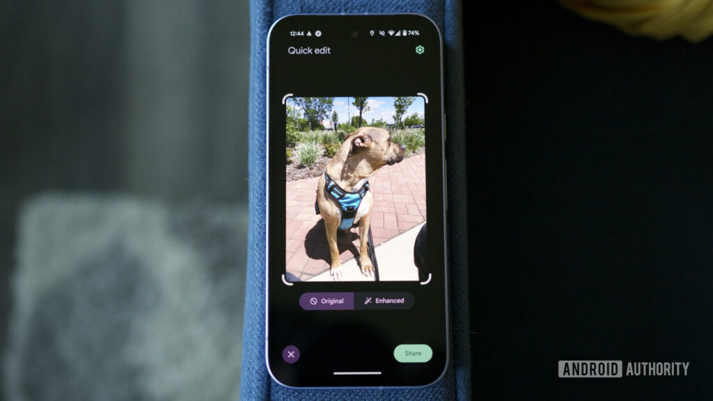 Google Photo has been 10 years old with a better editor and easy -sharing Android Authority