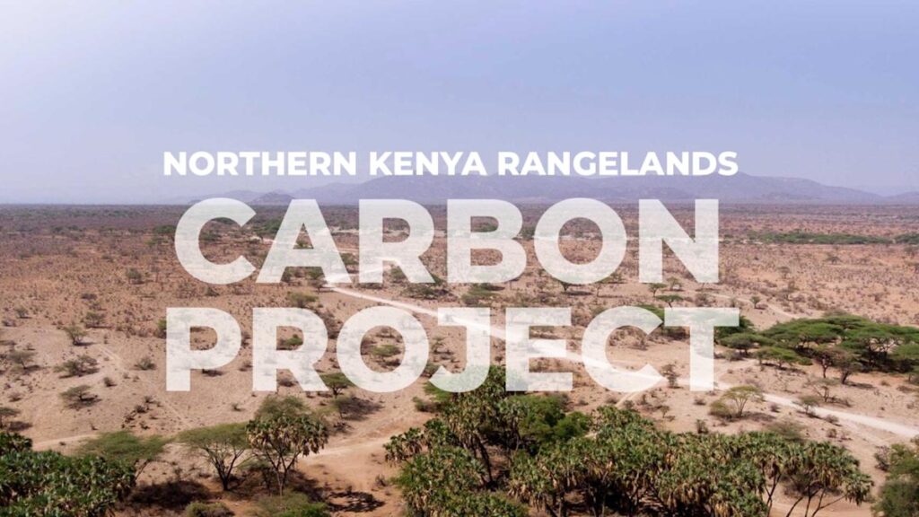 One of the tech industry’s carbon credit sources contradicts the shepherds of Kenya