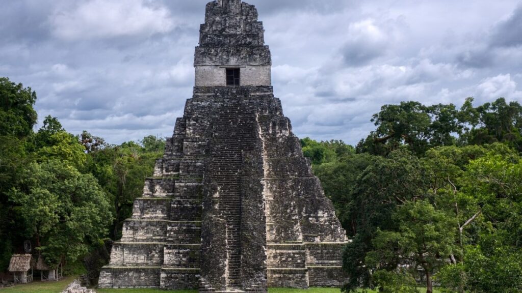 Genetic studies suggest that the elimination of Maya civilization was an organization