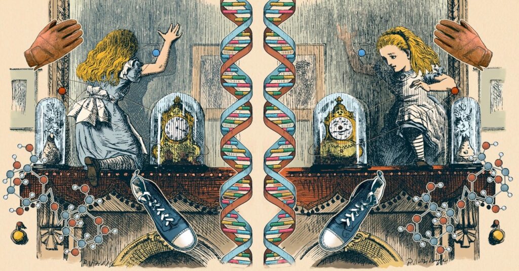 How different is the universe and its mirror version