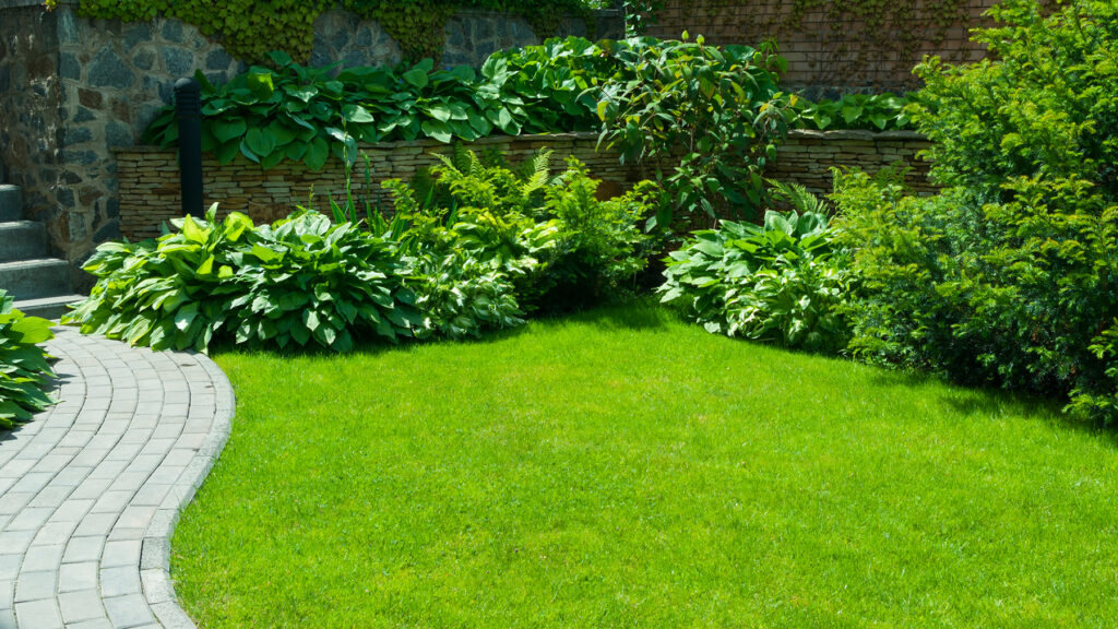 I am an eager gardener and these are the top 3 tools I use to keep my lawn in good condition