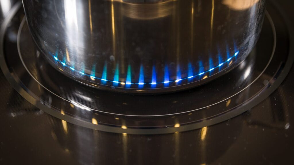 Should you buy an induction or electric stove? Here is the way to make the right choice