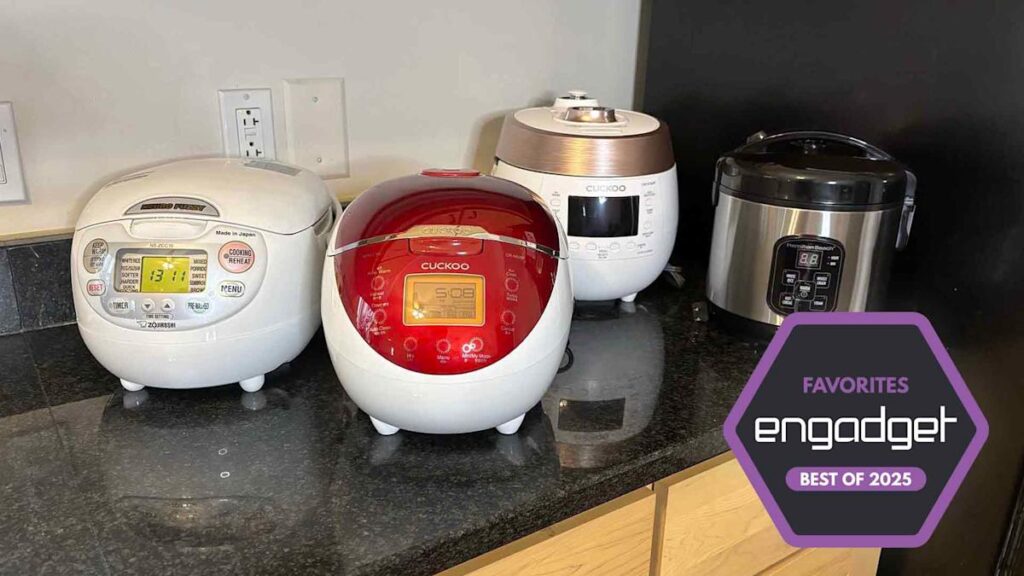 The best cockroker of rice for 2025 The best cockroker of rice for 2025