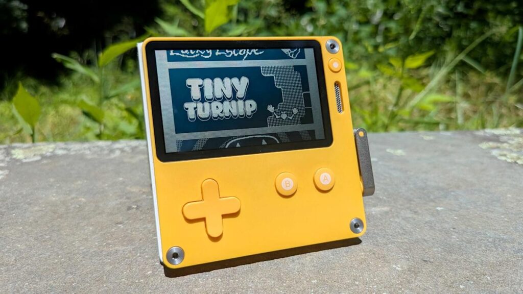 Tinny Schiplegam and the lucky escape of chance