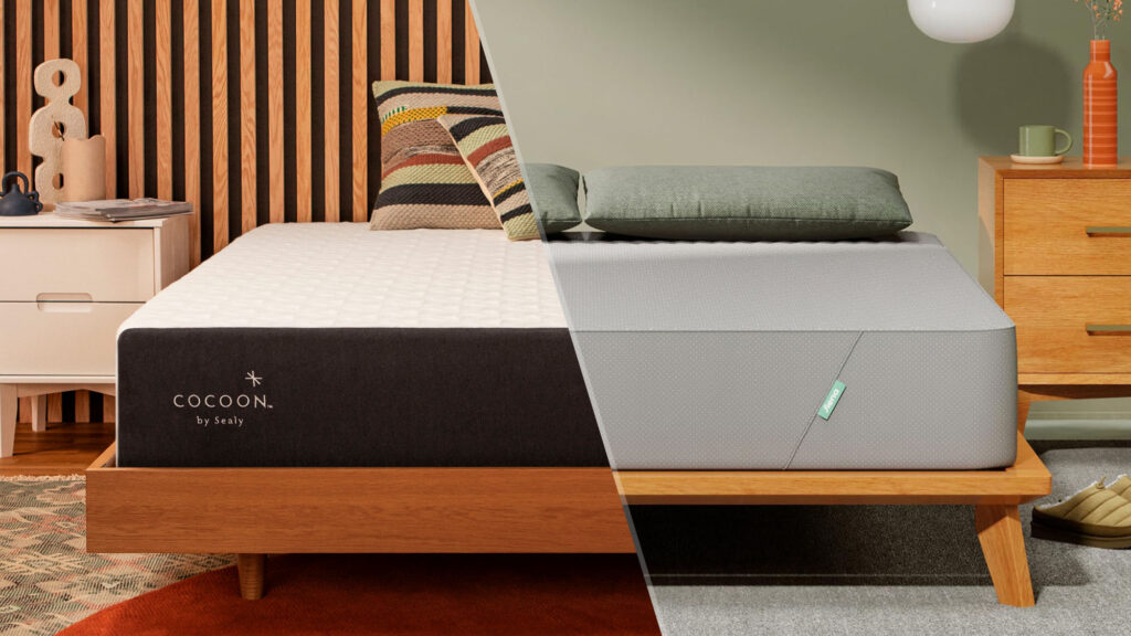 Coconut vs Sally Vs. Siena Signature: Which cheap memory foam should you buy?