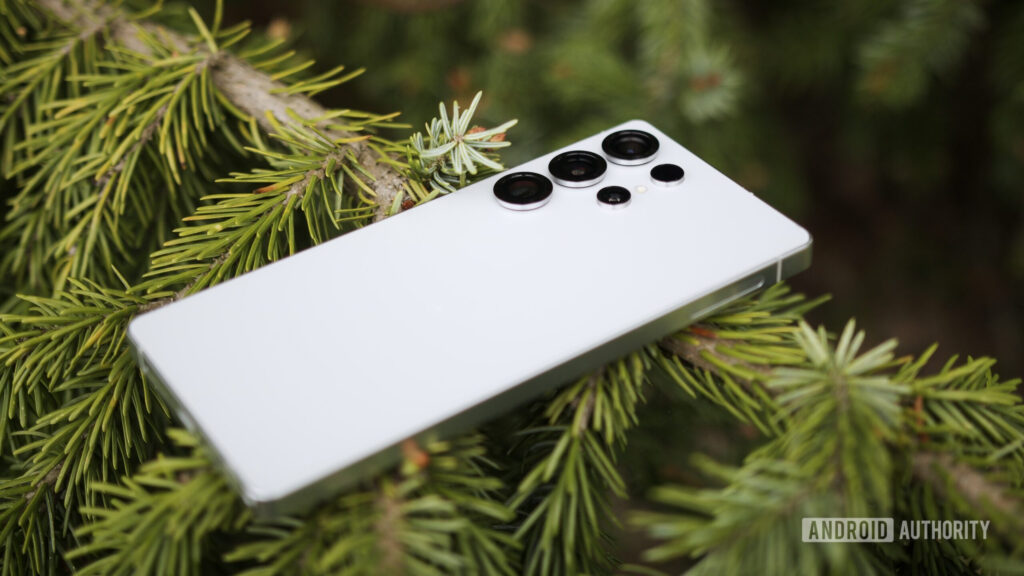 Del: Samsung Galaxy S 25 Ultra Price and Even More