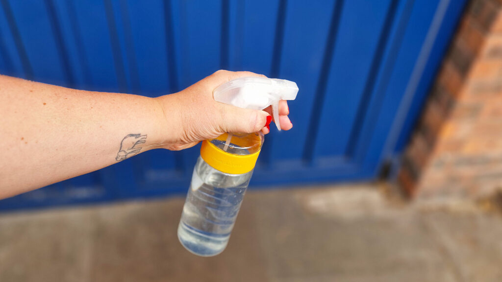 Experts say you should spray vinegar outside your front door this summer.