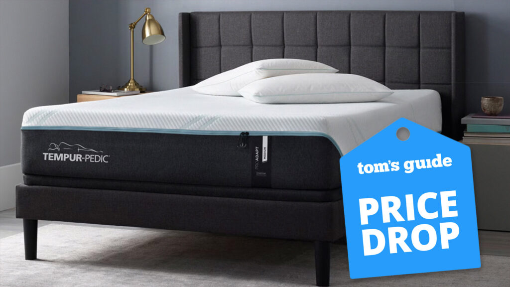I have found a high Tampur Paddic Deal in today’s mattress firm-sales-Tampur-Providpat up to 30 %