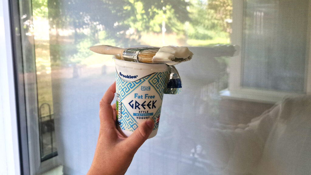 People are spreading yogurt on their windows to beat the heat this summer – and also has a scientific cause People are spreading yogurt on their windows to beat the heat this summer – and also has a scientific cause