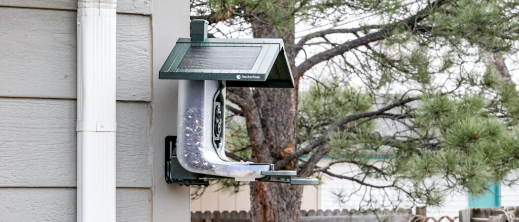 Review of the Fatrosnap Scout Bird Feeder