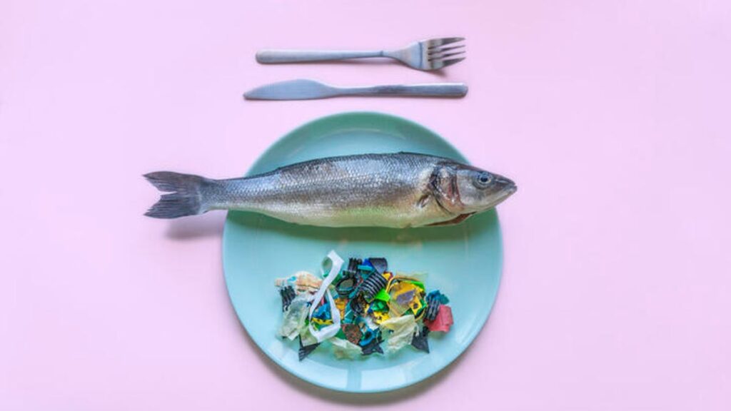 Want to avoid microplastics in food? We have found 8 most common foods that contain microplastics