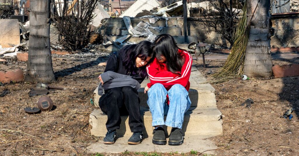 Why does LA take so much time in rebuilding after forest fire