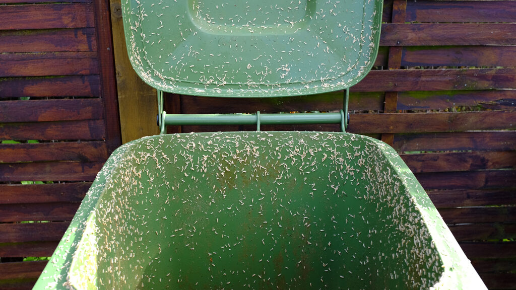 Get rid of the magnets in your trash L you just need a piece of bread and some vinegar – how it works