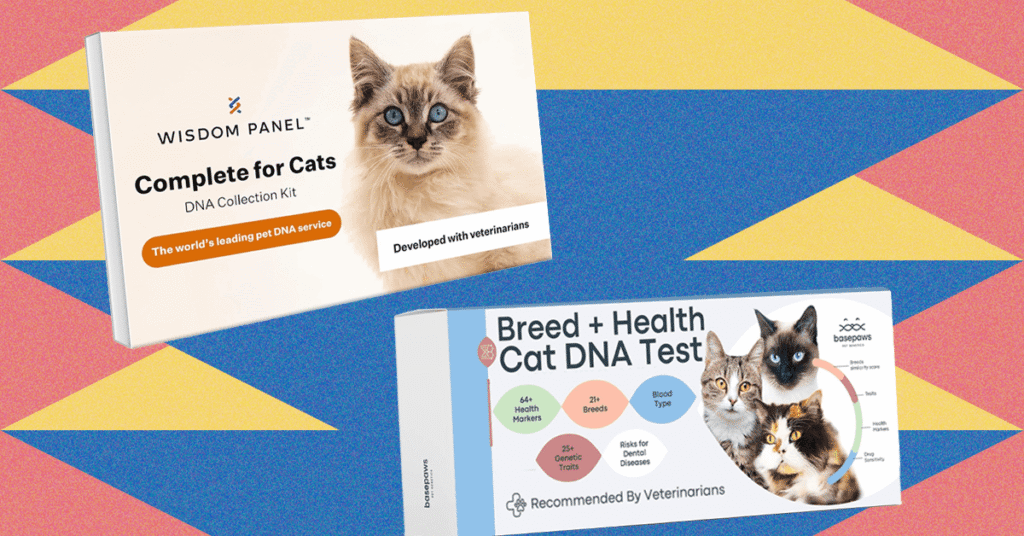 I tried the pet DNA test kits at the best home on my two cats (2025).