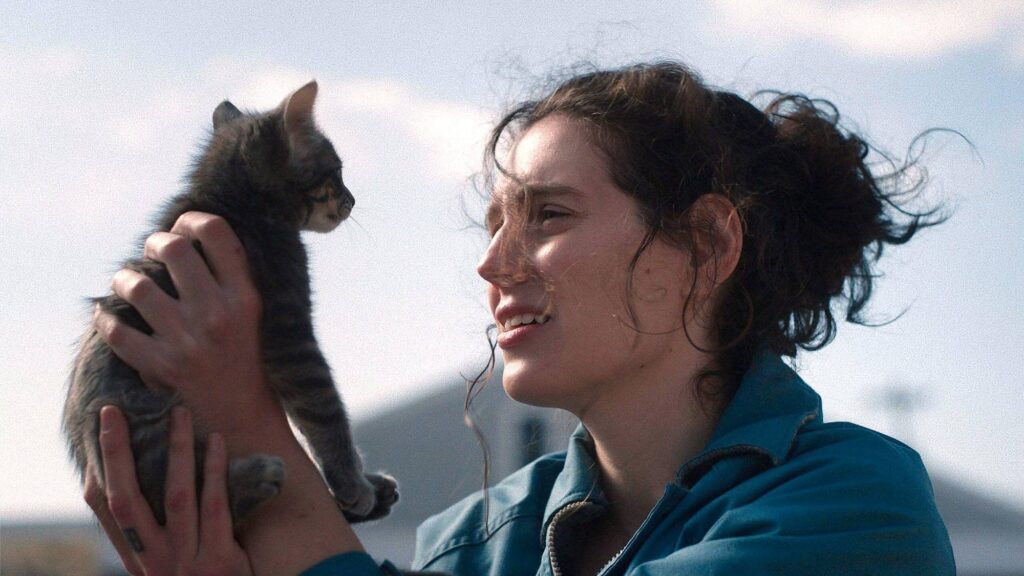 One of the best reviewing movies of the year is now streaming-and it’s 96 % on the tomato tomatoes