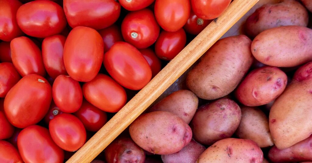 Science shows the amazing origin of potatoes Science shows the amazing origin of potatoes