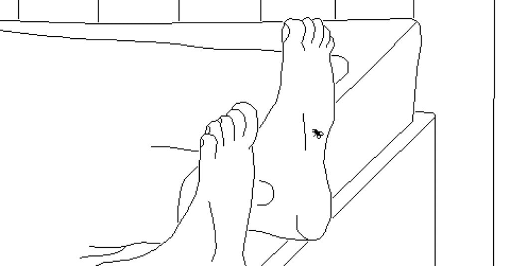 The bee of time is a short meditation on the meaning of life