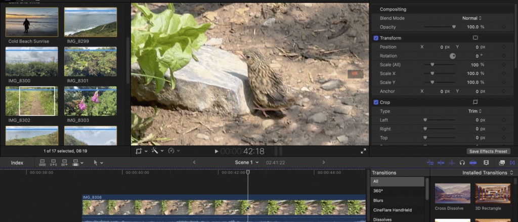 Apple Final Cut Pro (2025) Review